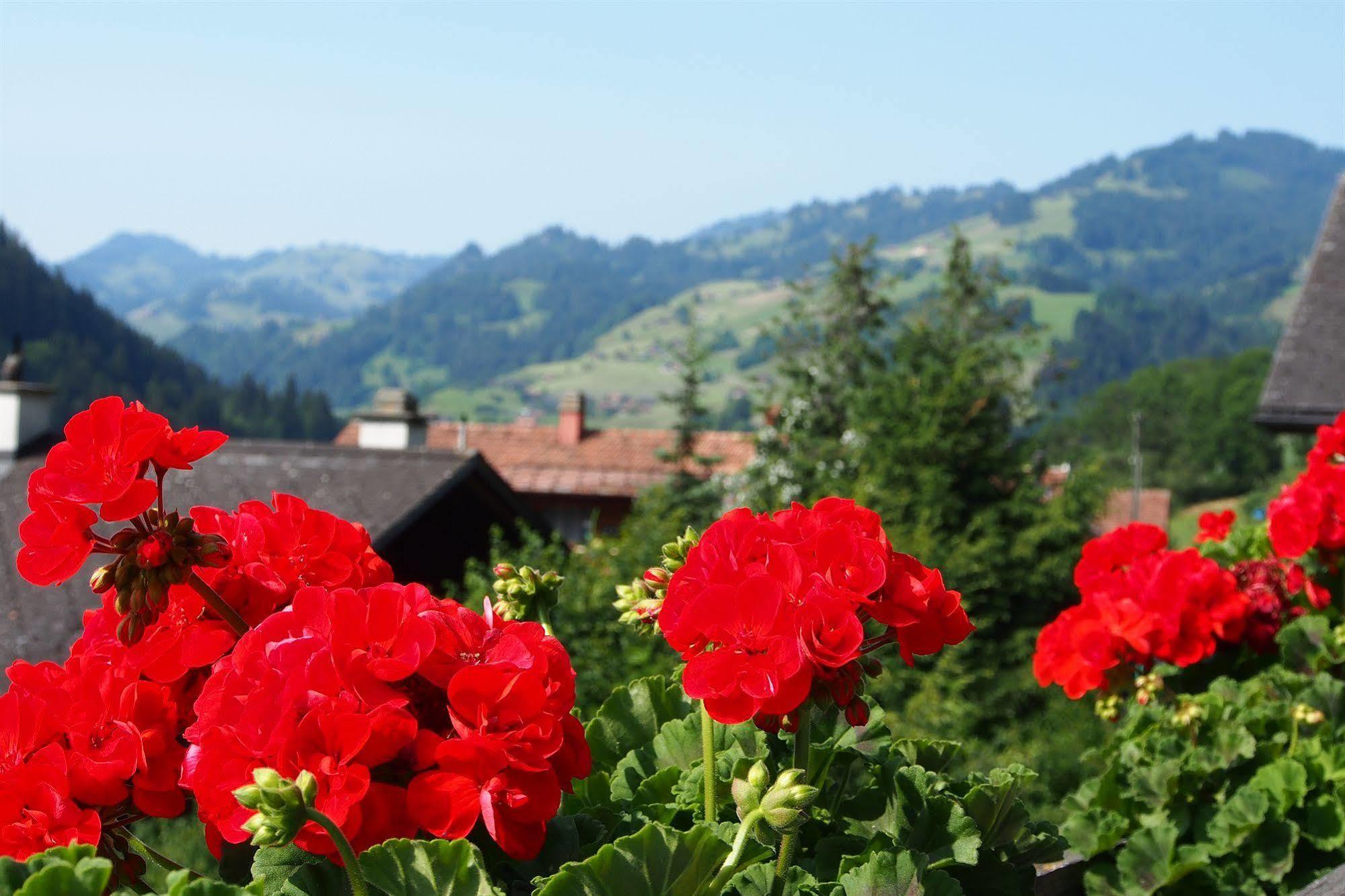Hotel Simmental Boltigen Dış mekan fotoğraf